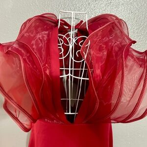 Long evening/formal/prom gown